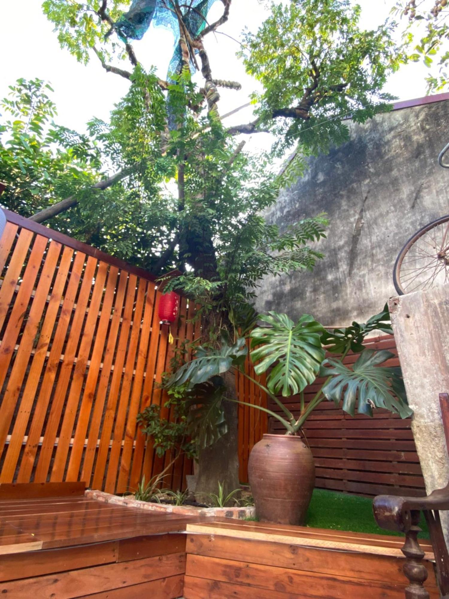 Ohayo Tam Coc Homestay Ніньбінь Екстер'єр фото