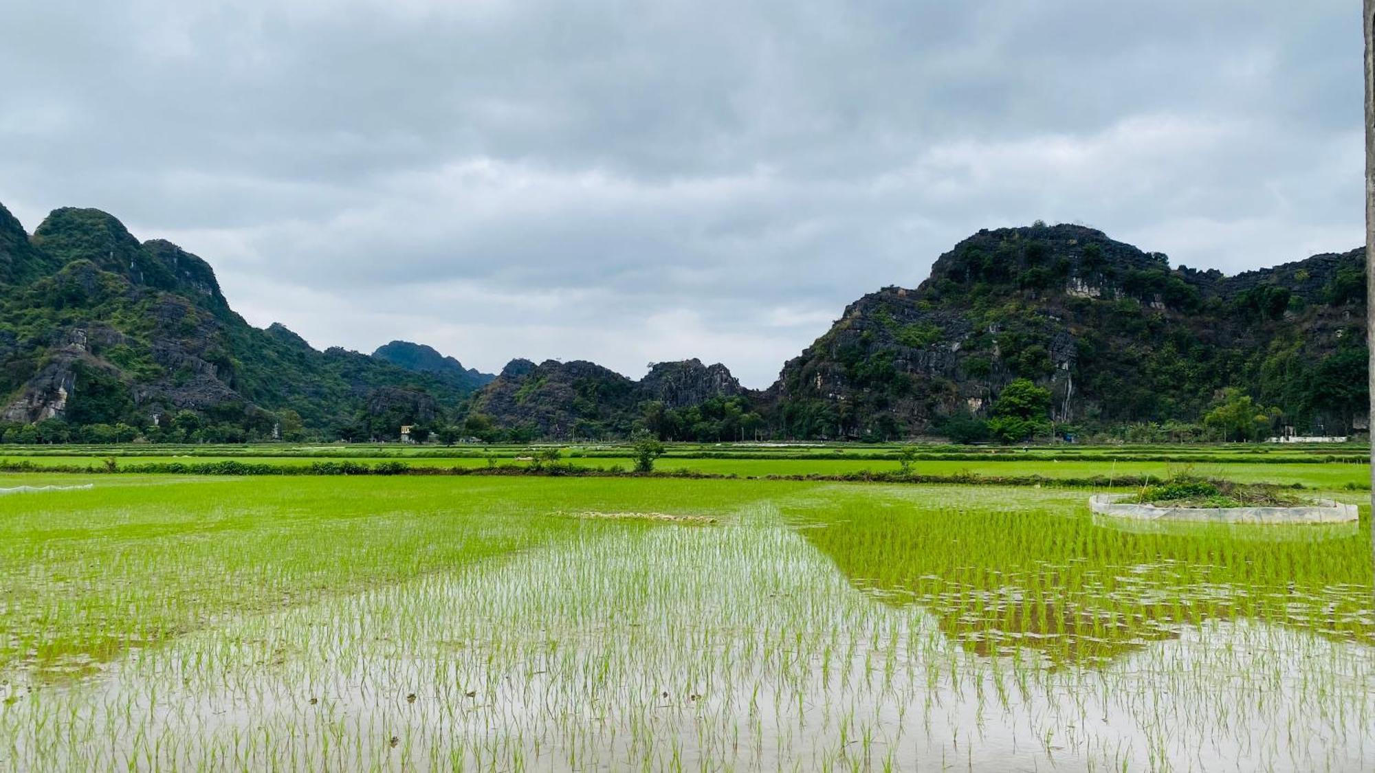Ohayo Tam Coc Homestay Ніньбінь Екстер'єр фото