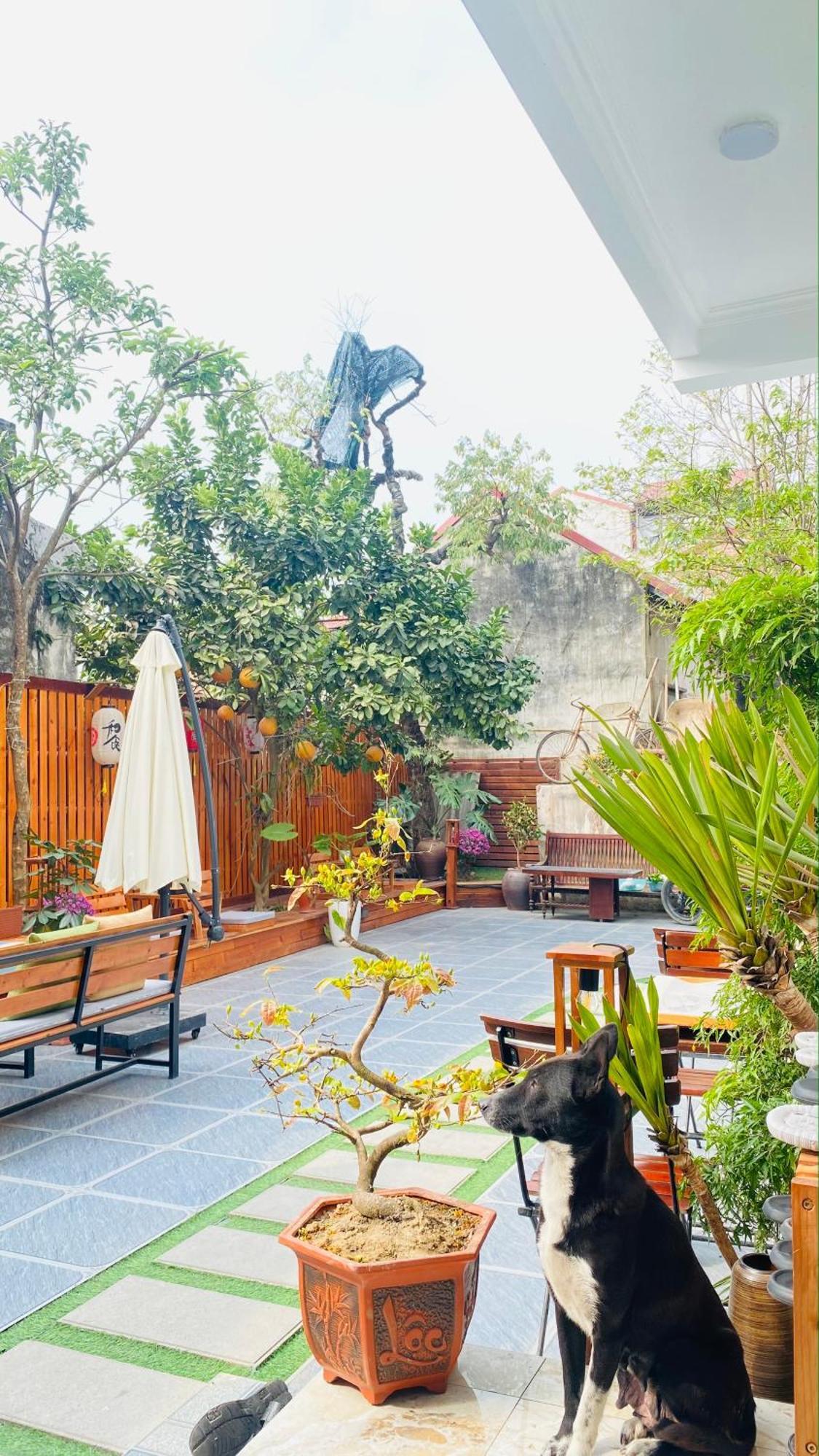 Ohayo Tam Coc Homestay Ніньбінь Екстер'єр фото